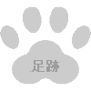 F2H5N